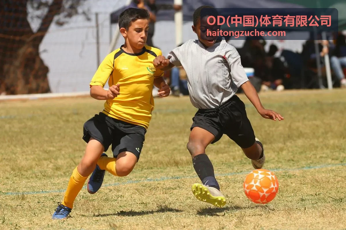 OD(中国)体育有限公司体育产业深度分析